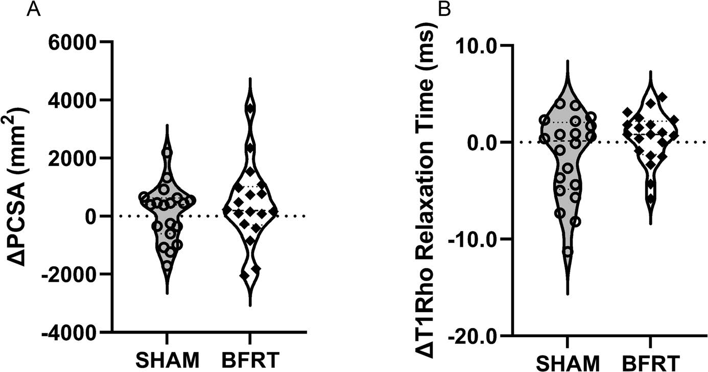 Blood Flow Restriction Training