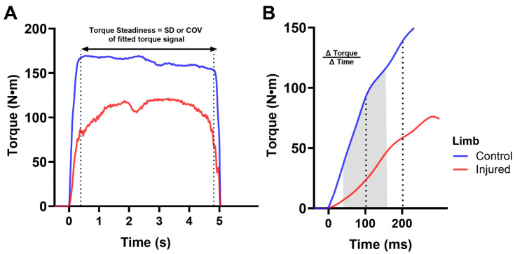Torque Development and Steadiness